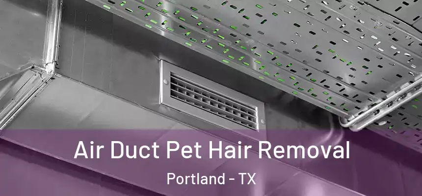  Air Duct Pet Hair Removal Portland - TX