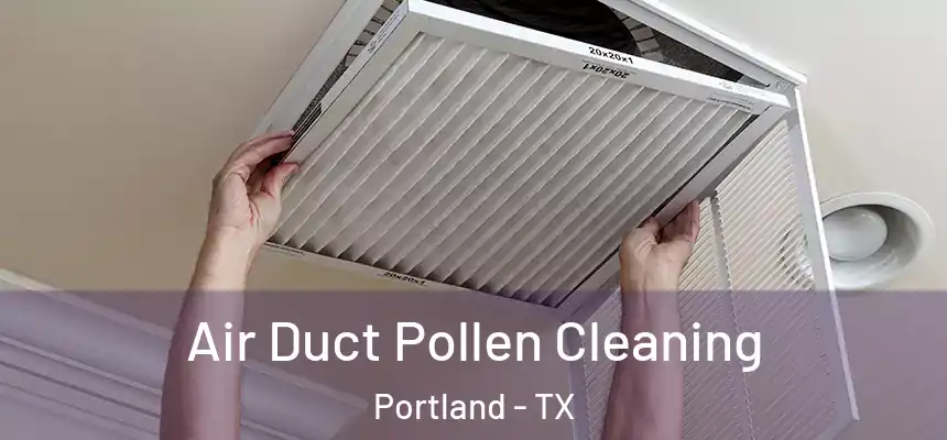  Air Duct Pollen Cleaning Portland - TX