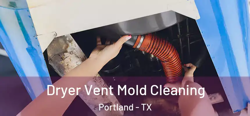  Dryer Vent Mold Cleaning Portland - TX