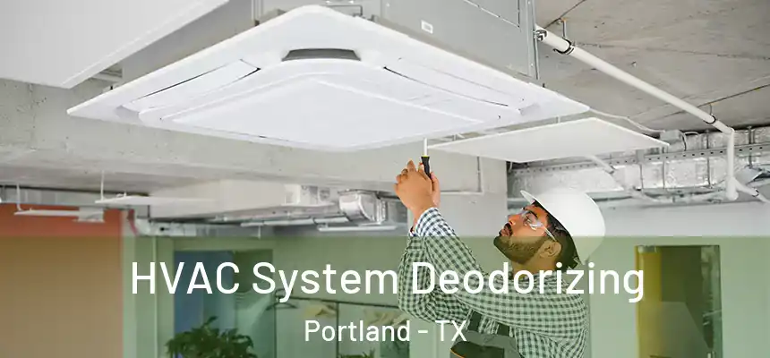  HVAC System Deodorizing Portland - TX