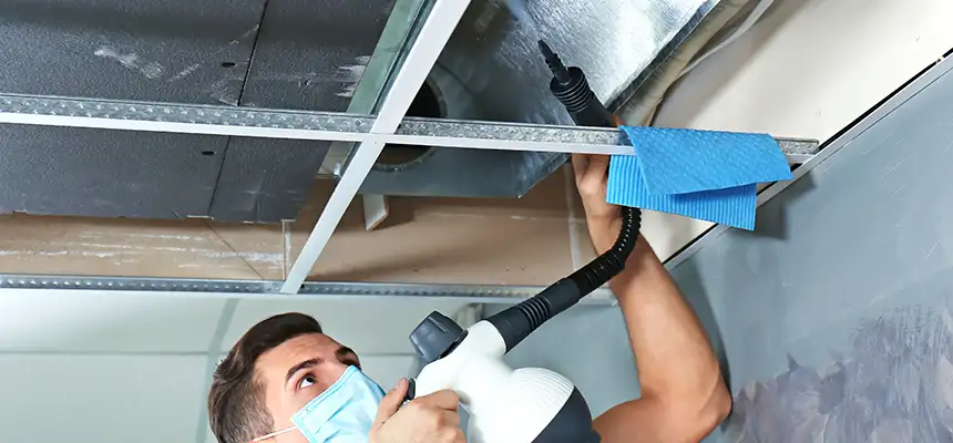 Our Air Duct Rodent Removal Services in Portland, TX
