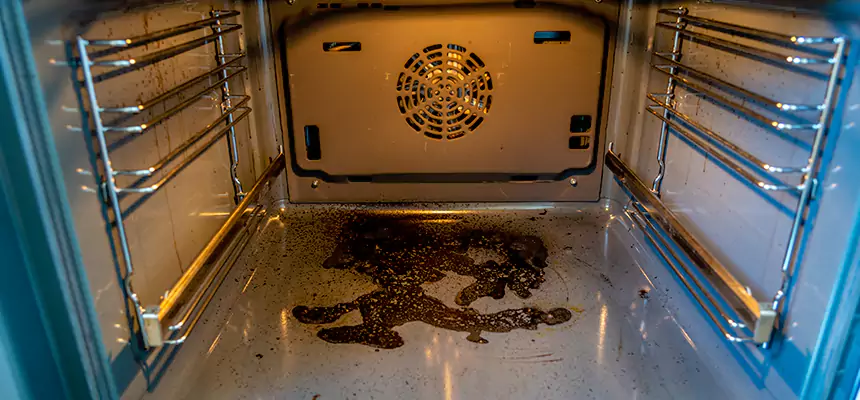 Our Dryer Vent Mold Cleaning Services in Portland, TX