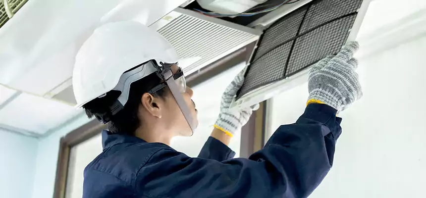 Our Mold & Mildew Removal from Air Ducts Services in Portland, TX