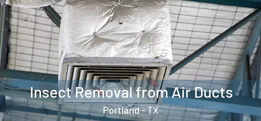  Insect Removal from Air Ducts Portland - TX