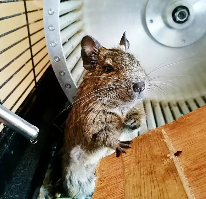 Why Homeowners & Businesses Trust Us Portland, TX